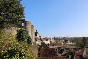 Courtier Bourgoin-Jallieu